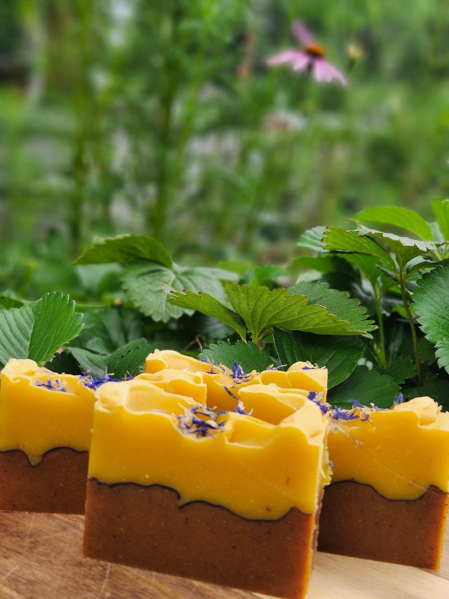 Autumn Sunshine - Seasonal Soap