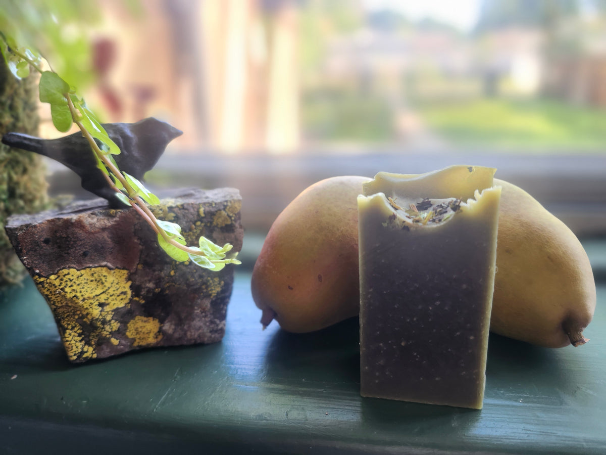 Verte – Avocado, Spearmint & Lime Soap Bar with Aloe | Longmont, CO